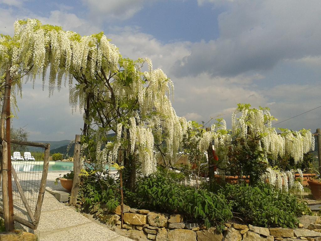 Agriturismo Biologico Poggiopiano Villa Fiesole Eksteriør billede